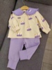 韩国小云朵春季女童纯棉，紫色娃娃领长袖t恤打底衫裤子两件套