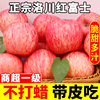 正宗洛川红富士苹果水果10新鲜当季整箱斤陕西脆甜时令一级果