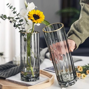 花瓶玻璃透明插花水养百合花富贵竹轻奢高级感客厅摆件简约现代