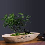 菖蒲创意仿石头花盆陶瓷多肉，老桩绿植盆栽文竹，造景盆景桌面带托盘