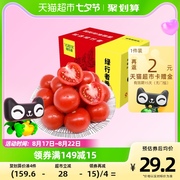 绿行者透心红番茄生吃西红柿2.5kg蔬菜水果