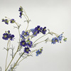 欧式仿真波斯菊，假花高品质仿真花蓝紫色，雏菊家居摆设桌面仿真花