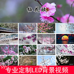 梅花赋高清背景视频230610舞台演出LED大屏幕高清背景视频素材