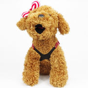 狗链子泰迪狗用品宠物牵引绳，小型犬狗绳子，博美比熊贵宾犬遛狗绳