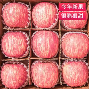 正宗陕西洛川苹果水果，新鲜当季整箱红富士，冰糖心特级脆甜10斤