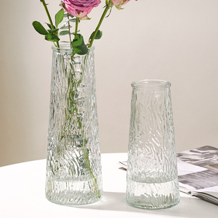 两件套ins风北欧玻璃花瓶，大号透明水养富贵竹，桌面客厅插花摆件