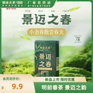 景迈山明前春茶尝鲜2024年景迈之春品鉴装7g(会员价限购1份)