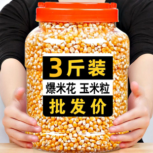 3斤爆米花专用的玉米粒家庭电影院自制球形，爆裂玉米花苞米粒