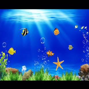 鱼缸背景贴纸高清图3d立体背景，画水族箱壁纸海底世界造景自粘画
