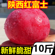 陕西红富士脆甜苹果10斤新鲜水果应当季冰糖心，丑苹果当季整箱