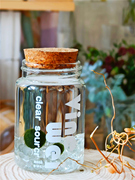 海藻球能量瓶微景观室内水培植物玻璃瓶创意迷你盆栽球藻水生绿植