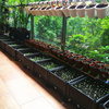 种菜盆阳台蔬菜种植箱专用楼顶家庭花箱户外大花盆特大号处理