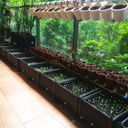 种菜盆阳台蔬菜种植箱，专用楼顶家庭，花箱户外大花盆特大号处理