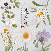 手绘古典复古烫金植物花卉，花朵插画ai矢量设计素材png免抠图片