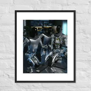 optimus擎天柱机器人的第一张合影-「问问马斯克」出品-挂画摆画