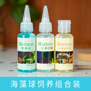 乖乖猫marimo马里莫海藻球营养液球藻生态瓶水培植物家用9.9