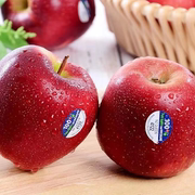 新西兰红玫瑰苹果12个礼盒，脆甜多汁当季新鲜水果