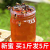 纯正天然蜂蜜农家自产百花蜜结晶土蜂蜜枣花蜜，原始老山洋槐蜂蜜。