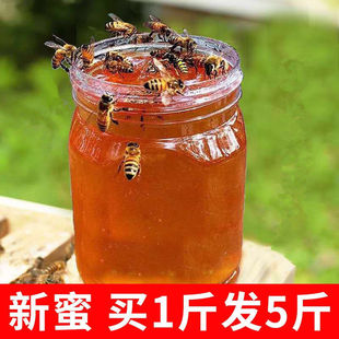 纯正天然蜂蜜农家自产百花蜜，结晶土蜂蜜枣花蜜原始老山洋槐蜂蜜。