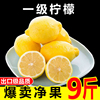 华秧安岳黄柠檬一级果9斤新鲜水果当季现摘皮薄香水小金桔青柠檬