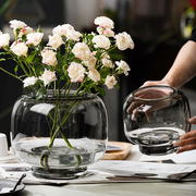 简约现代轻奢原色花瓶透明圆形大口水养鲜花插花客厅餐桌玻璃摆件