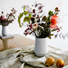 丹麦eva solo nova系列古典条纹陶瓷花瓶北欧简约白瓷花器 图