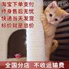 橘猫狸猫狸花猫活体中华田园，猫纯黑猫白猫奶牛，猫小三花白狸捕鼠猫