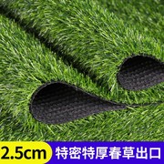 仿真草坪围蔽墙塑料假草皮地毯整卷批宽高2米2.5米3米4米广州