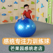 颗粒按摩大笼球儿童感统训练器材玩具大球家用婴儿康复训练大龙球