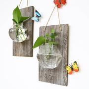 透明壁挂水培玻璃花瓶墙壁装饰绿萝植物插花瓶，小鱼缸创意家居