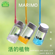 marimo幸福海藻球随身瓶，创意迷你绿植，水培微景观生态瓶负离子生物