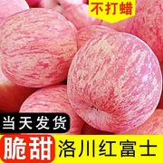 陕西洛川正宗红富士，苹果新鲜水果冰，糖心脆甜当季一级大果10斤