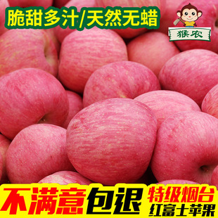 山东烟台苹果新鲜水果脆甜条纹栖霞红富士当季整箱10斤大果