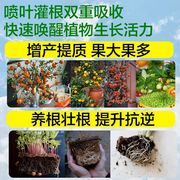 绿植营养液植物通用型，花肥家用盆栽发财树富贵竹，绿萝水培花卉肥料