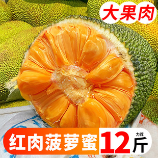 越南进口红肉菠萝蜜6-18斤一整个红心波罗蜜当季新鲜水果整箱