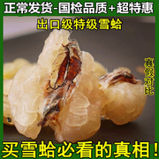 长白山雪蛤油干货雪哈东北林蛙油，蛤士蟆木瓜，炖雪蛤膏联体100g
