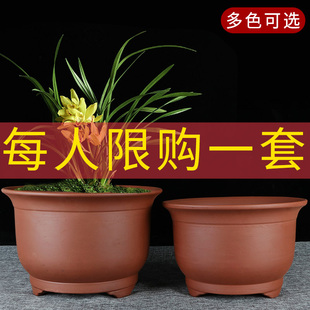 宜兴特大号紫砂兰，花盆盆景君子兰绿萝陶瓷陶盆，阳台种菜盆