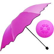荷叶边遇水开花伞晴雨伞黑胶防晒小巧太阳伞三折手动可定制