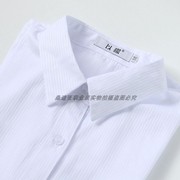 白衬衫条纹女士短袖竖纹方领韩版棉职业装正装商务ol衬衣