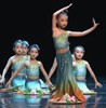 傣族舞蹈服装儿童女西双版纳孔雀舞，鱼尾裙傣笠，舞蹈服装少儿群舞蹈
