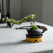 六月雪悬崖创意紫砂西施茶壶，盆栽造型盆景迷你小绿植茶桌生日礼物