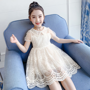 韩国女童连衣裙夏装儿童公主，裙中大童蕾丝，裙子洋气夏季小女孩裙子