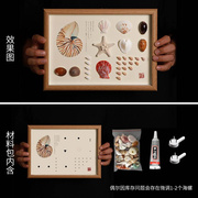 天然贝壳装饰品相框diy创意标本材料，家居海螺制作包材料(包材料)挂画手工