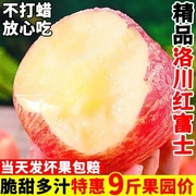 陕西洛川苹果10斤新鲜水果红富士当季整箱冰糖心脆甜苹果尝鲜上门