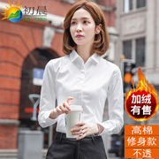 棉质白衬衫女士职业长袖，工作服上衣2024韩版百搭衬衣正装通勤