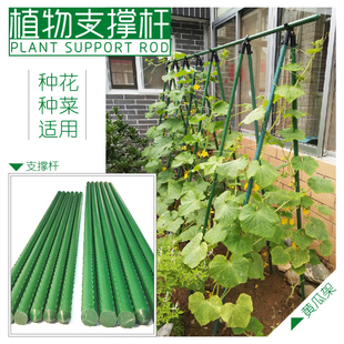 园艺蔬菜种植架盆栽攀爬植物爬藤铁艺花架阳台菜园diy搭架支柱杆