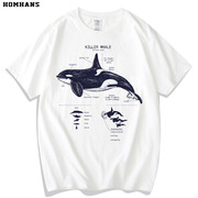 虎鲸海洋动物趣味科普知识短袖纯棉，t恤潮流圆领半袖男女通款大码