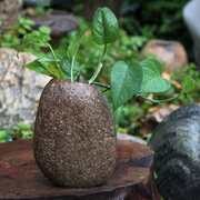 鹅卵石花盆天然石头花瓶插花花，器桌面笔筒创意个性富贵竹盆原石