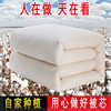 春秋棉絮纯棉花被棉被冬被全棉被芯被子，加厚保暖褥子垫被四季秋冬