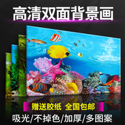 鱼缸背景纸画高清图3d立体鱼缸，壁纸背景画双面水族箱装饰鱼缸贴纸
